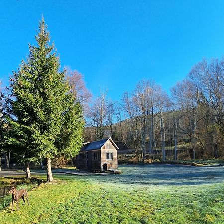 Insolite Tiny House Serenite Bien Etre Ban-sur-Meurthe-Clefcy Bagian luar foto