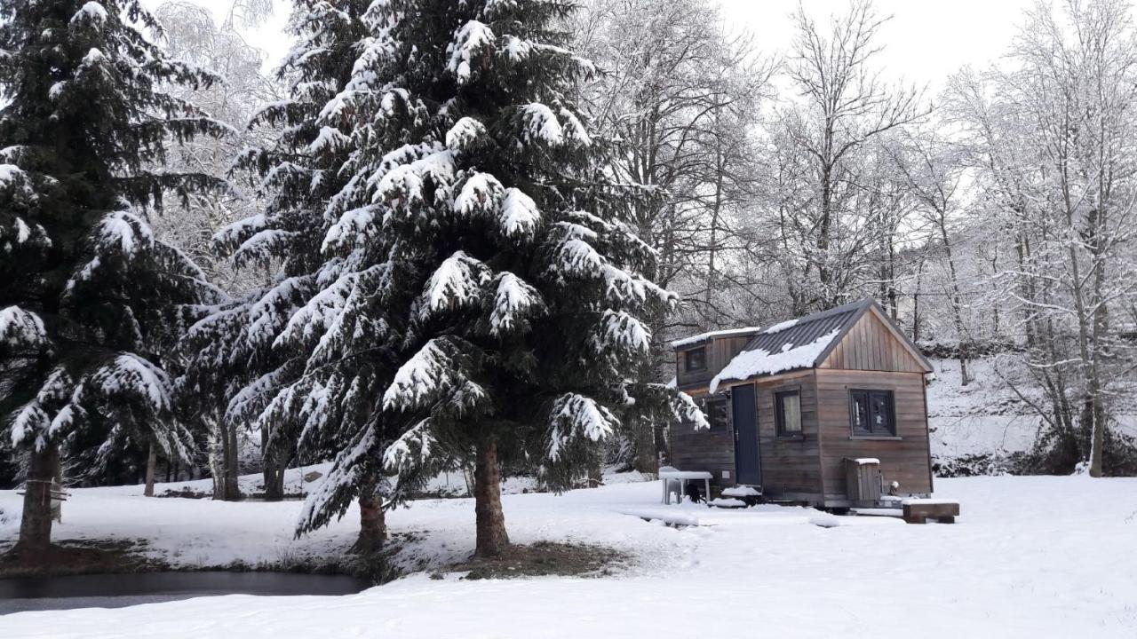 Insolite Tiny House Serenite Bien Etre Ban-sur-Meurthe-Clefcy Bagian luar foto