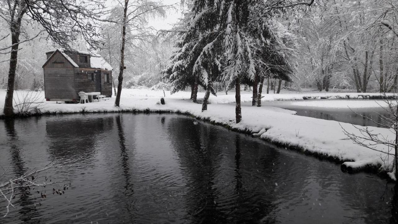 Insolite Tiny House Serenite Bien Etre Ban-sur-Meurthe-Clefcy Bagian luar foto