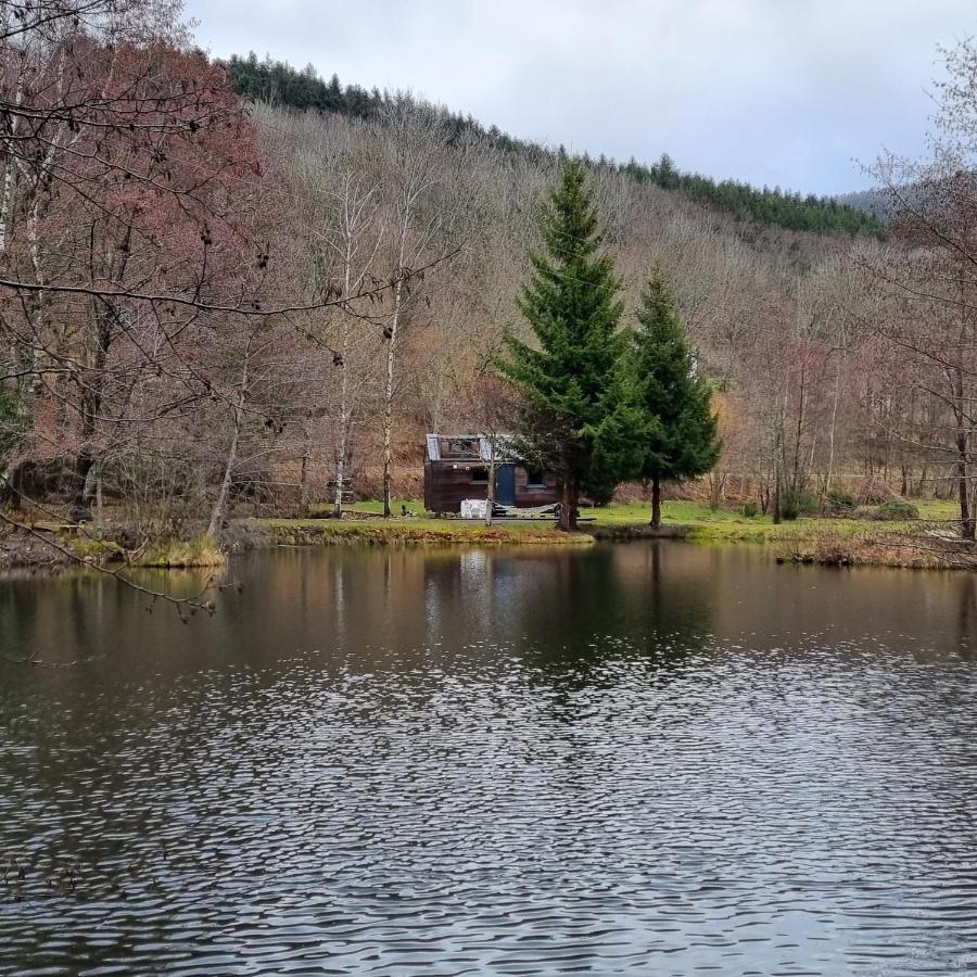 Insolite Tiny House Serenite Bien Etre Ban-sur-Meurthe-Clefcy Bagian luar foto